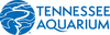 Tennessee Aquarium